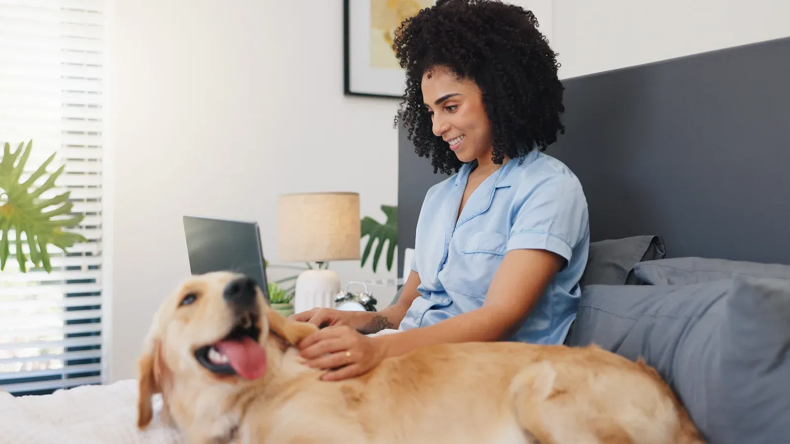 Mulher sorridente sentada na cama acaricia um golden retriever deitado ao lado, com um notebook ao fundo
